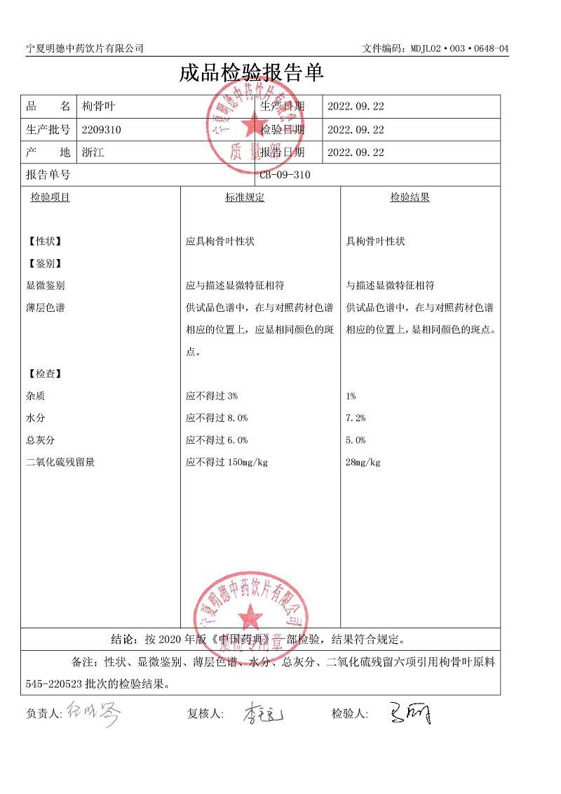 2209310枸骨叶.jpg