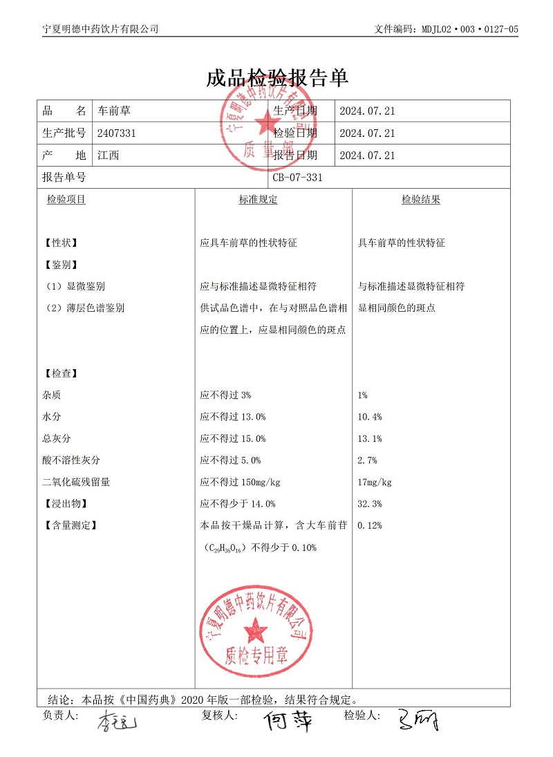 2407331车前草.jpg