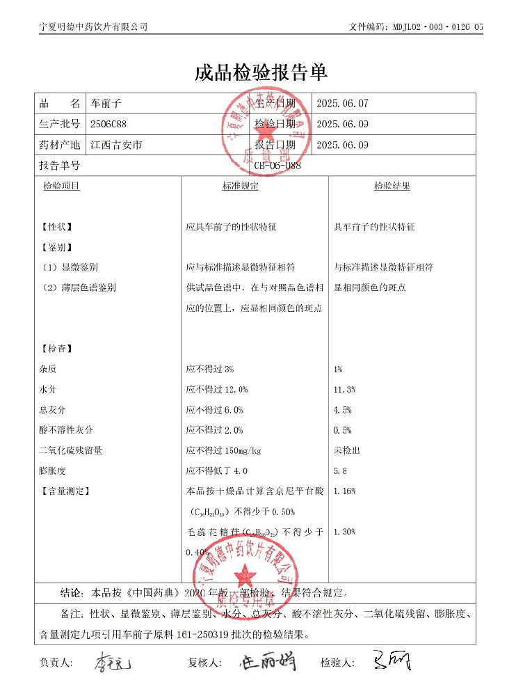 2506088车前子.jpg