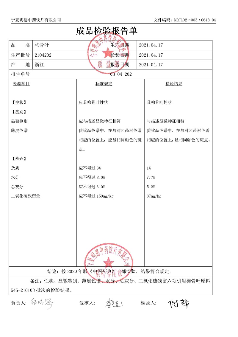 2104202枸骨叶.jpg